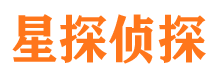 江阳市侦探调查公司